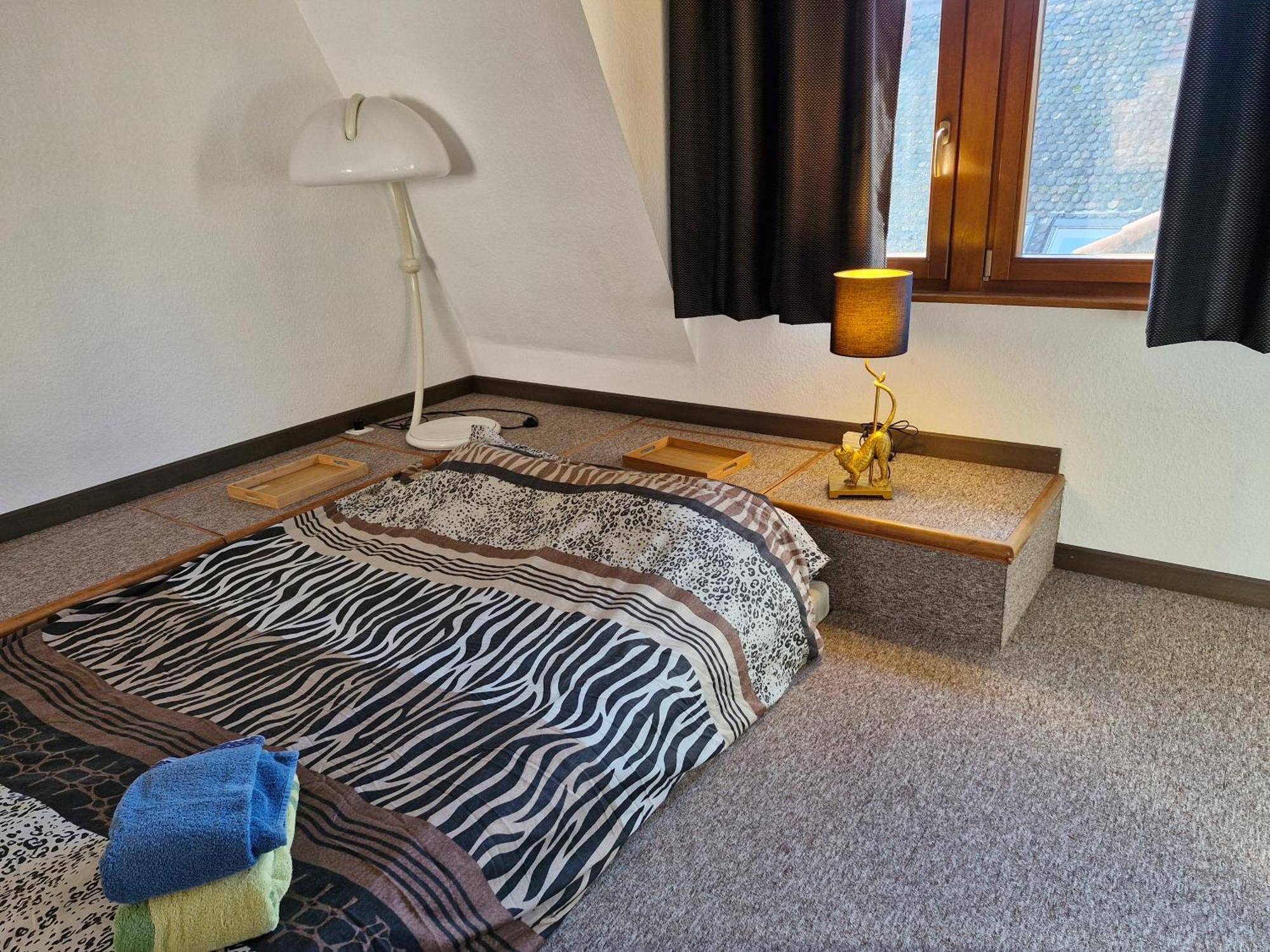 Face A La Cathedrale Apartment สตราสบูร์ก ภายนอก รูปภาพ